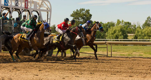 Fort Erie Race Track Sold